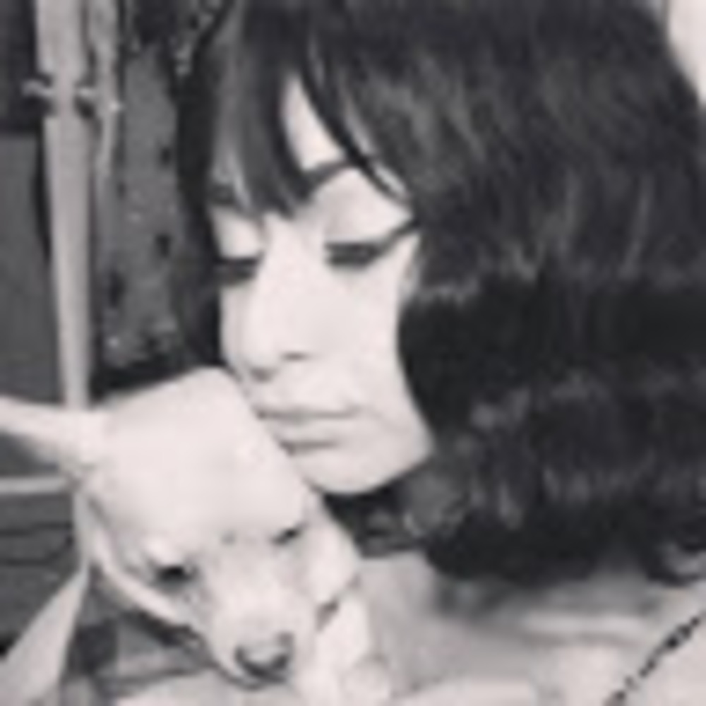 Meet your Posher, Misha